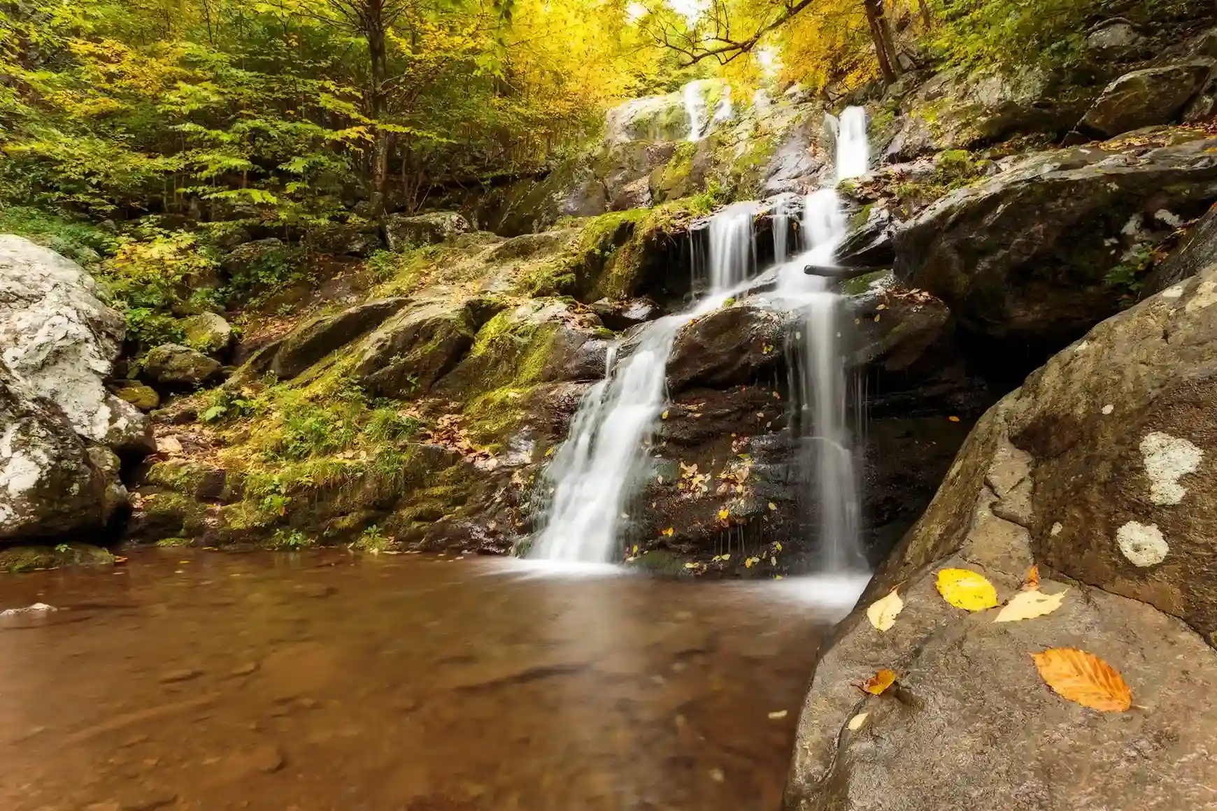 Shenandoah National Park